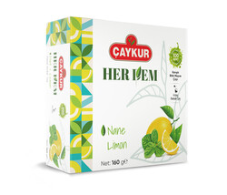 Herdem Yeşil Nane Limon Çayı Süzen Poşet 160 Gr - Thumbnail