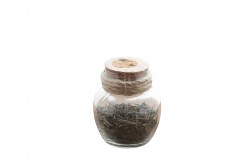 White Tea 20 gr - Thumbnail